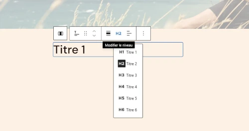 Sélection du niveau de titre H1 H2 H3 dans l'éditeur WordPress